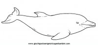 disegni_da_colorare_animali/animali_acquatici/delfino.JPG