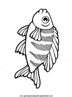 disegni_da_colorare_animali/animali_acquatici/pesci_02.JPG