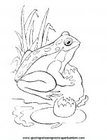 disegni_da_colorare_animali/animali_acquatici/pesci_11.JPG
