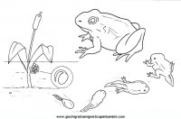 disegni_da_colorare_animali/animali_acquatici/pesci_24.JPG