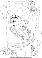 disegni_da_colorare_animali/animali_acquatici/pesci_34.JPG