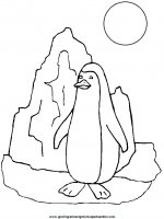 disegni_da_colorare_animali/pinguino_pinguini/pinguino_6.JPG