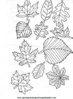 disegni_da_colorare_quattro_stagioni/autunno/autunno_x86.JPG