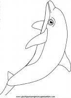 disegni_da_colorare_animali/delfino_delfini/delfino_delfini_38.JPG