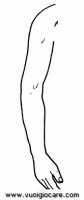 disegni_da_colorare_scienze/corpo_umano/braccio9650.JPG