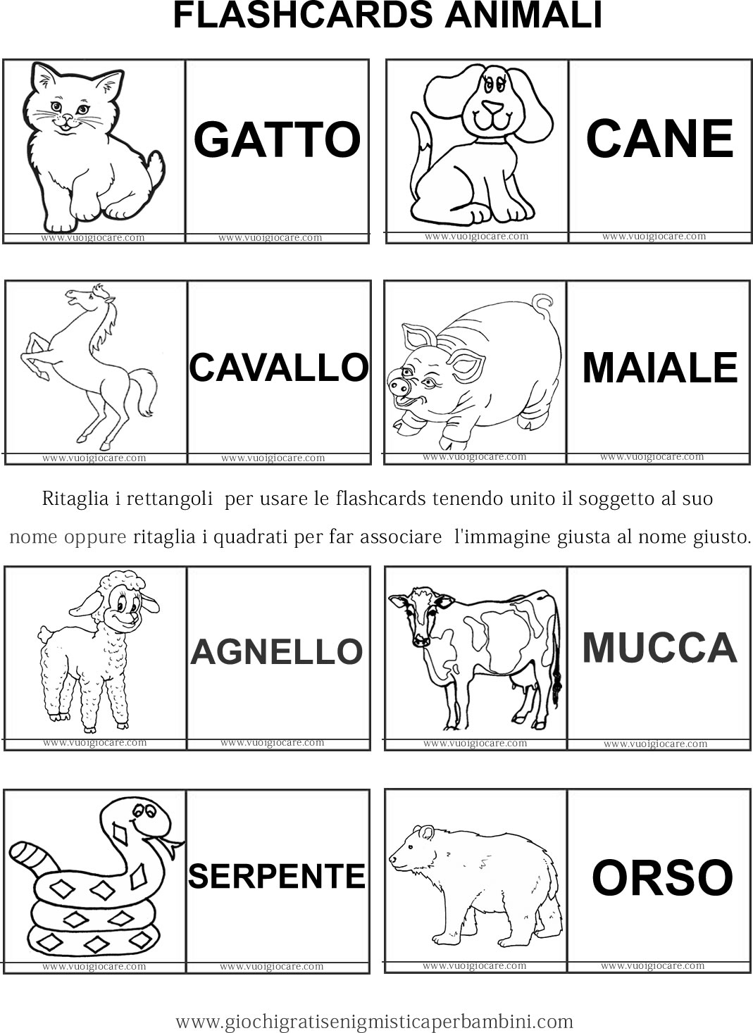 scheda didattica flash cards animali